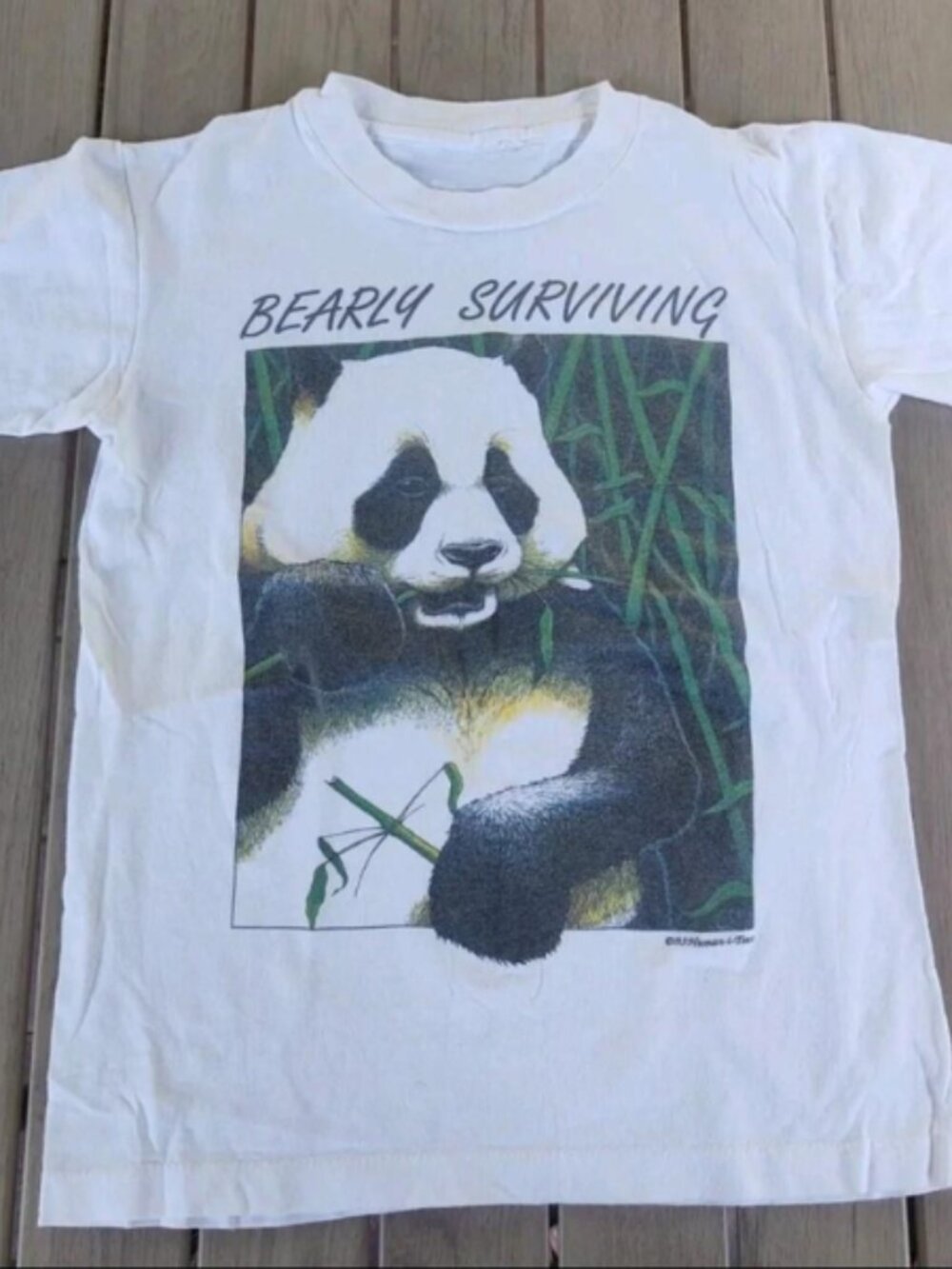Bearly Surviving Panda Graphic Tee - Animal Print Shirt